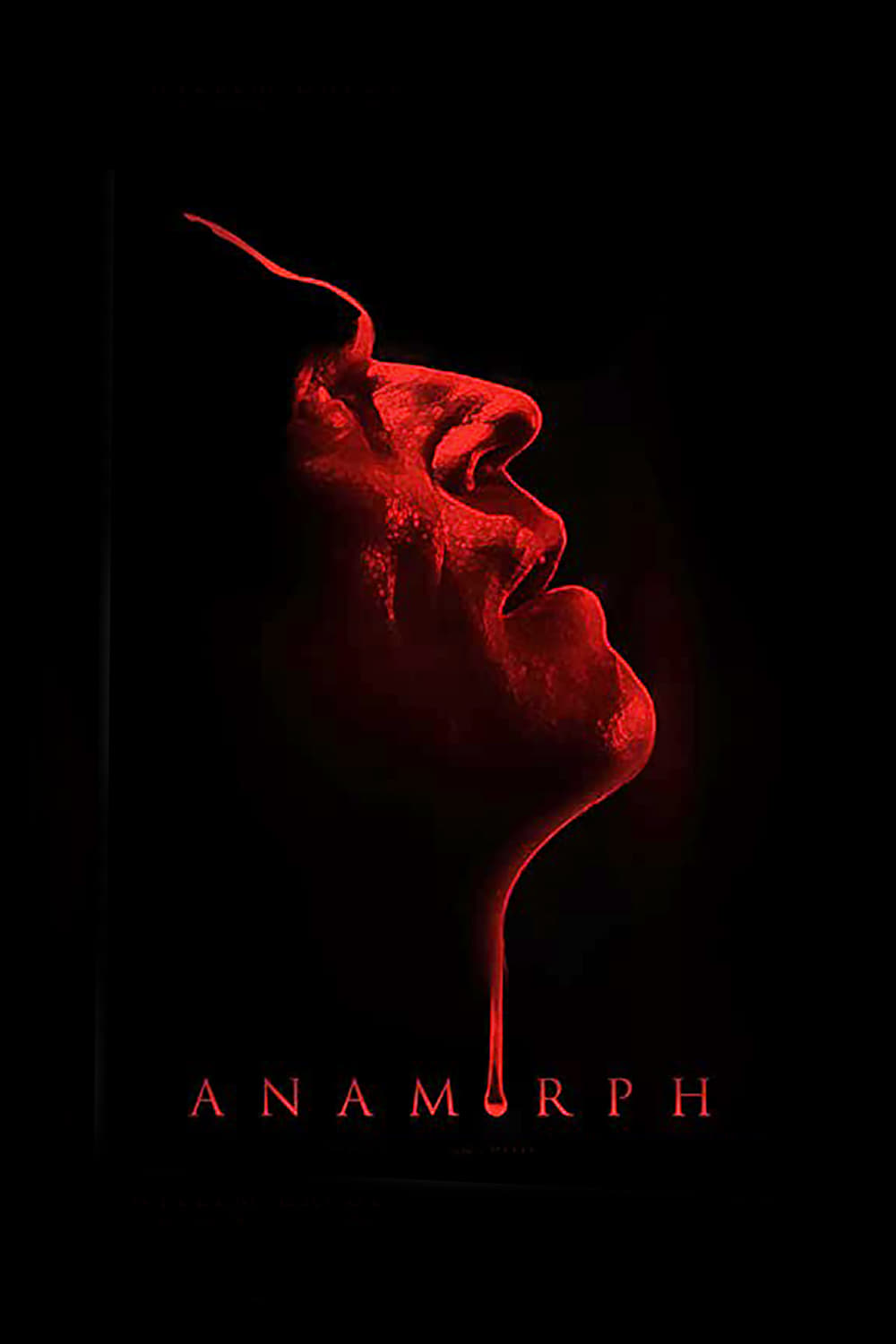 Caratula de Anamorph