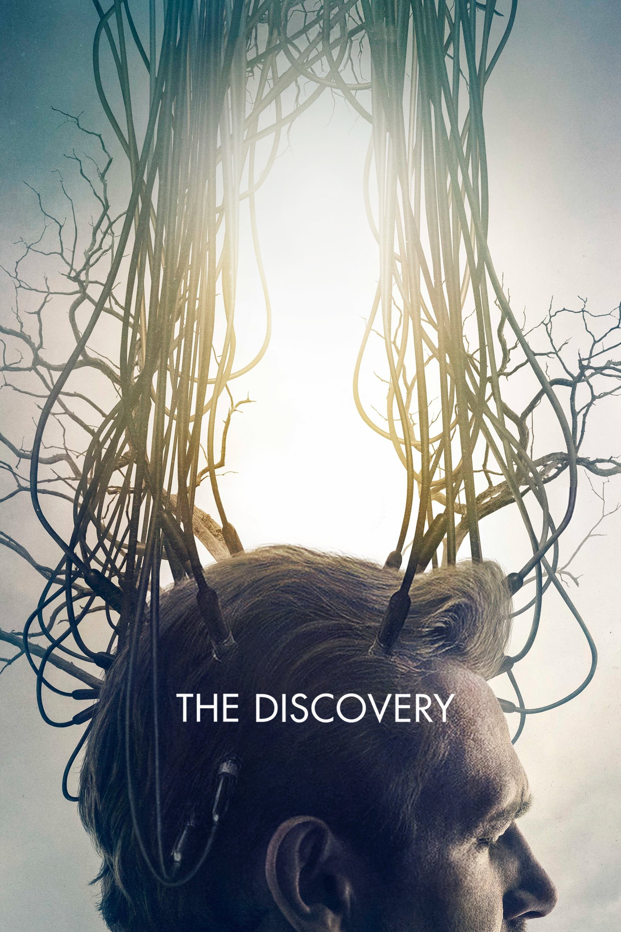 Caratula de The Discovery 