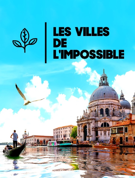 Caratula de Les villes de l’impossible