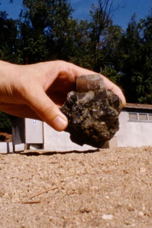 Caratula de Instant Life 