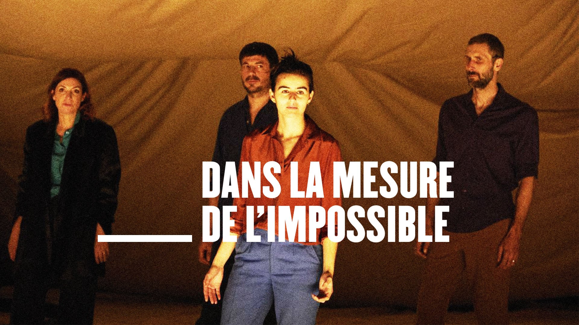 Caratula de Dans la mesure de l’impossib 
