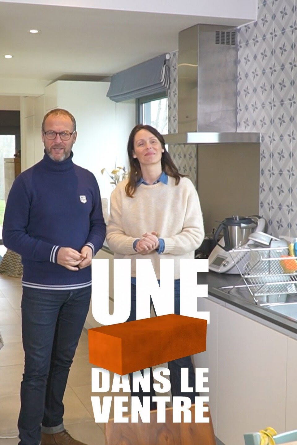 Caratula de Une brique dans le ventre
