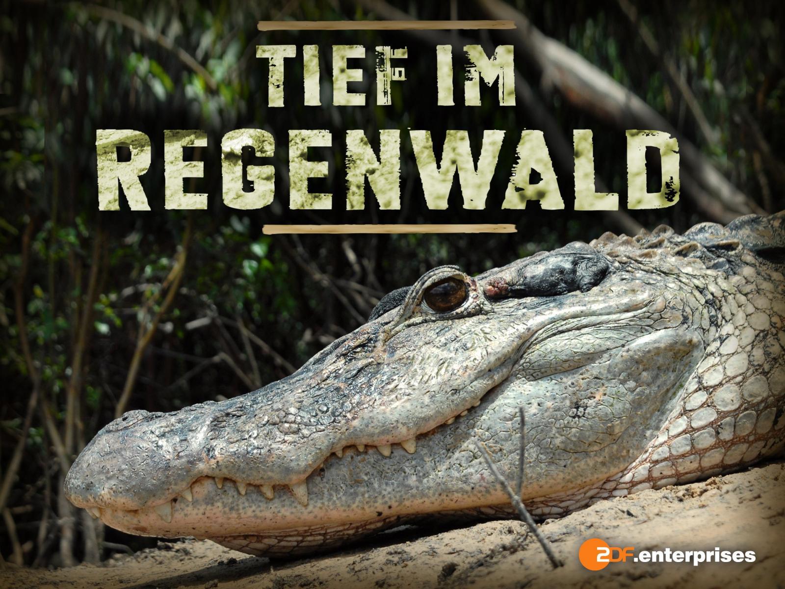 Caratula de Tief im Regenwald 