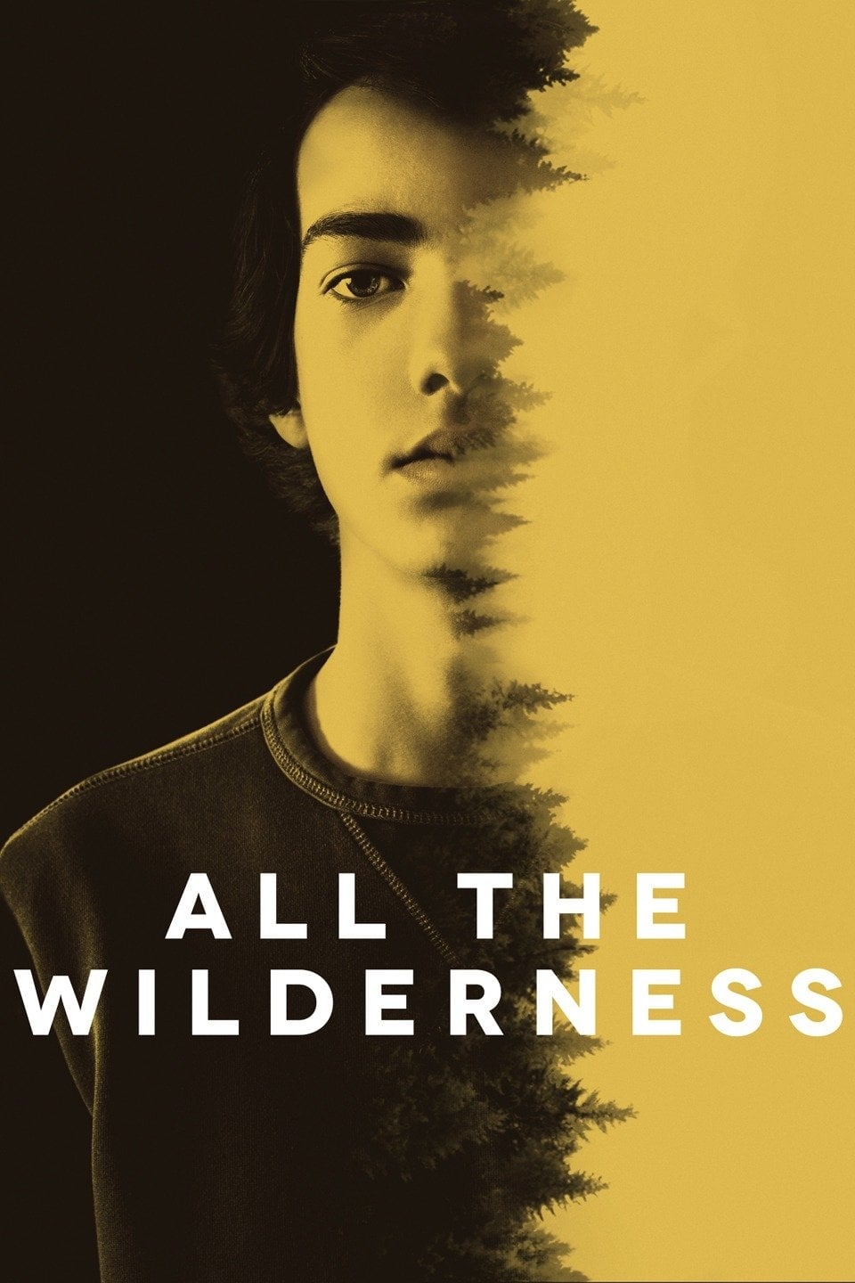 Caratula de ALL THE WILDERNESS