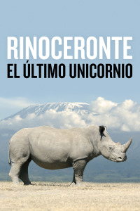 Caratula de search for the last unicorn 