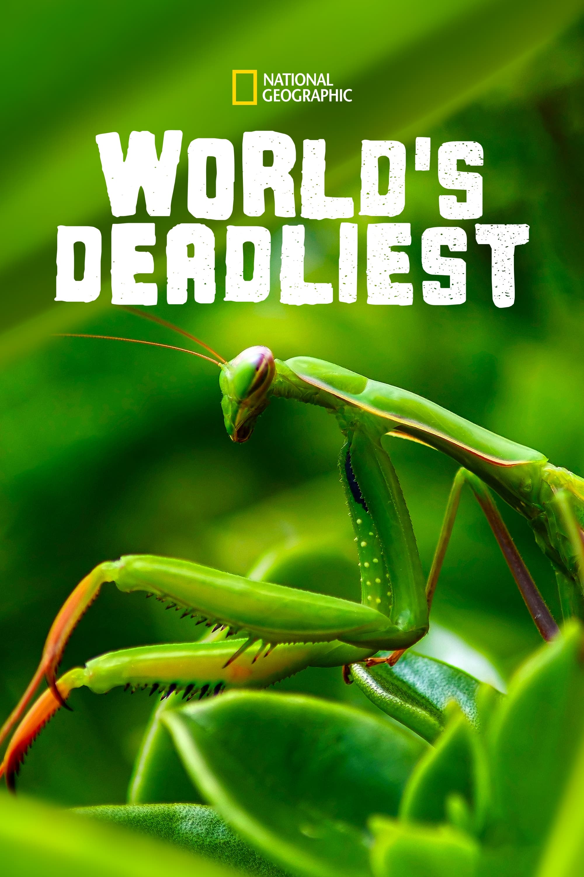WORLD S DEADLIEST
