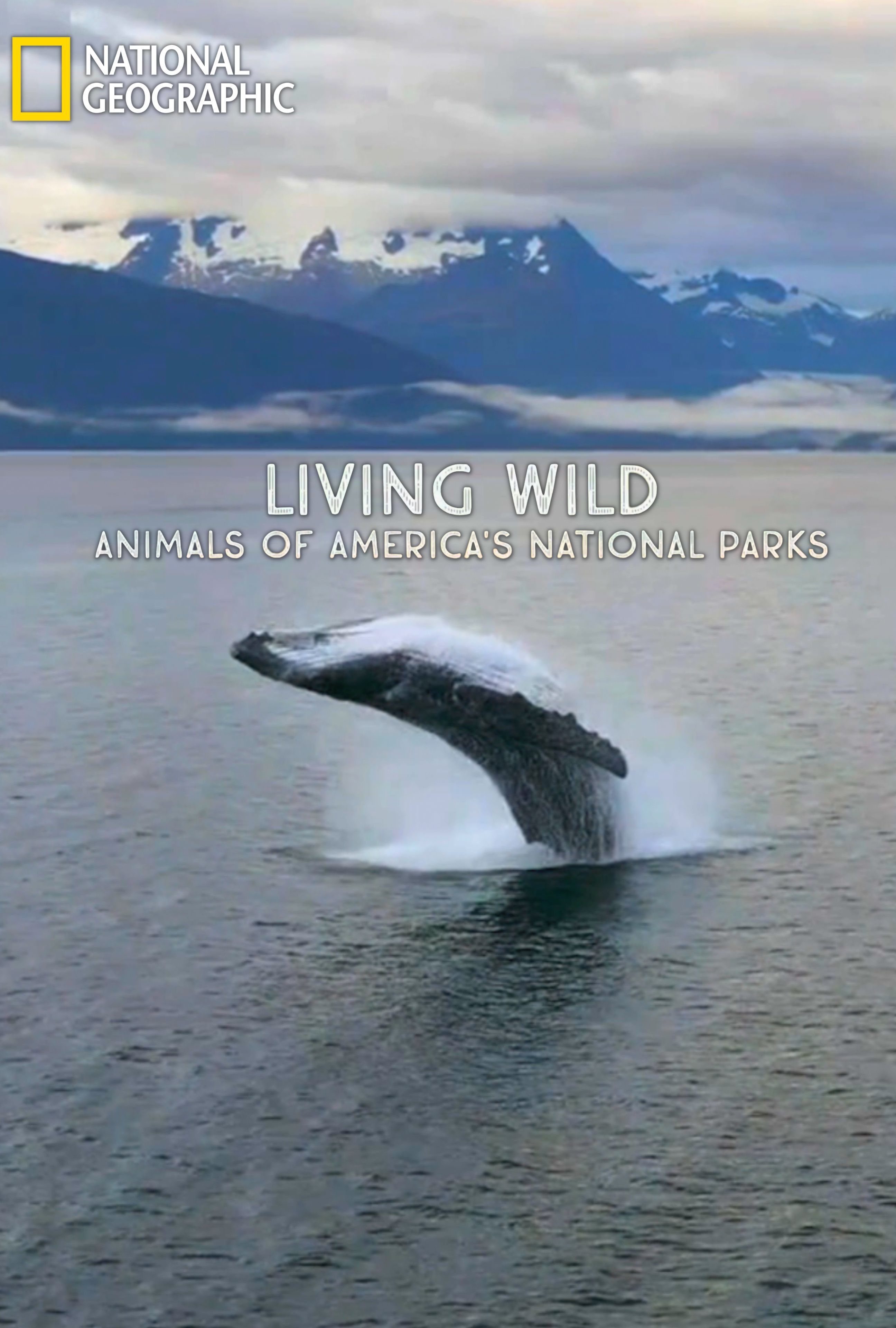 Caratula de Living Wild: Animals of America’s National Parks 