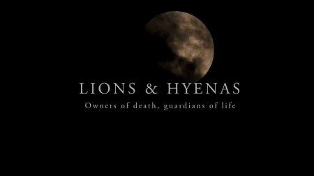 Lions & Hyenas: Owners of Death, Guardians of Life