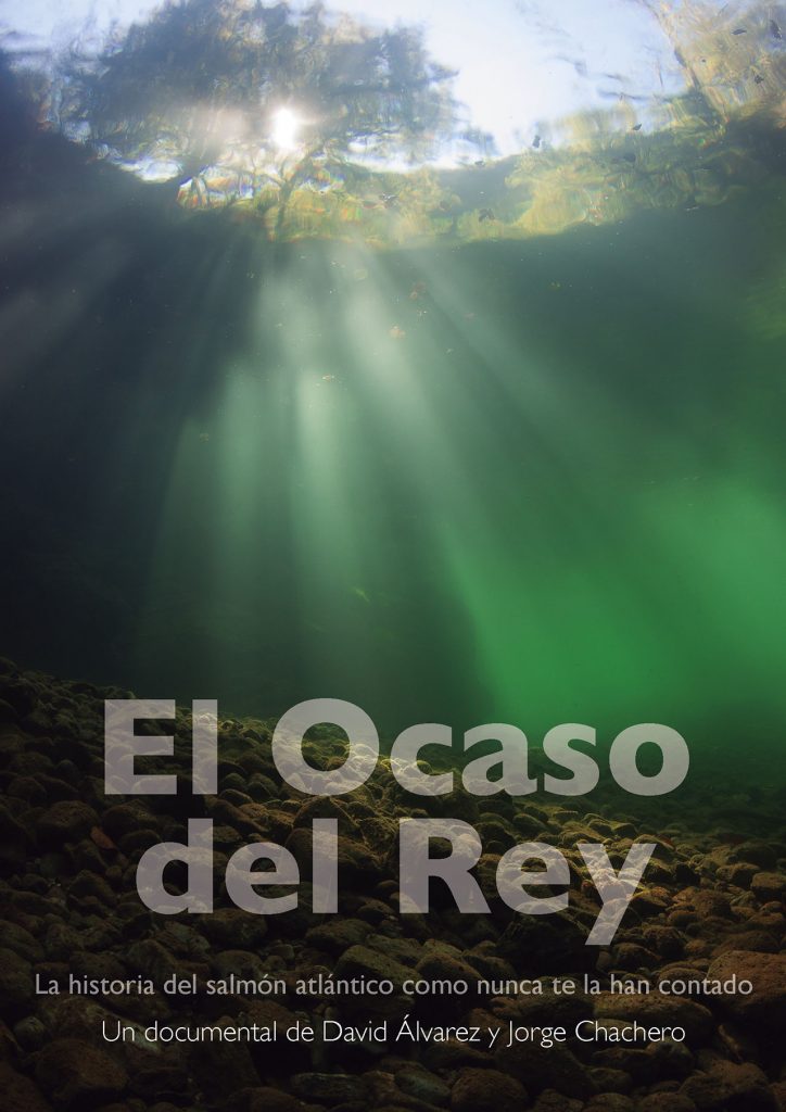 Caratula de El ocaso del rey 
