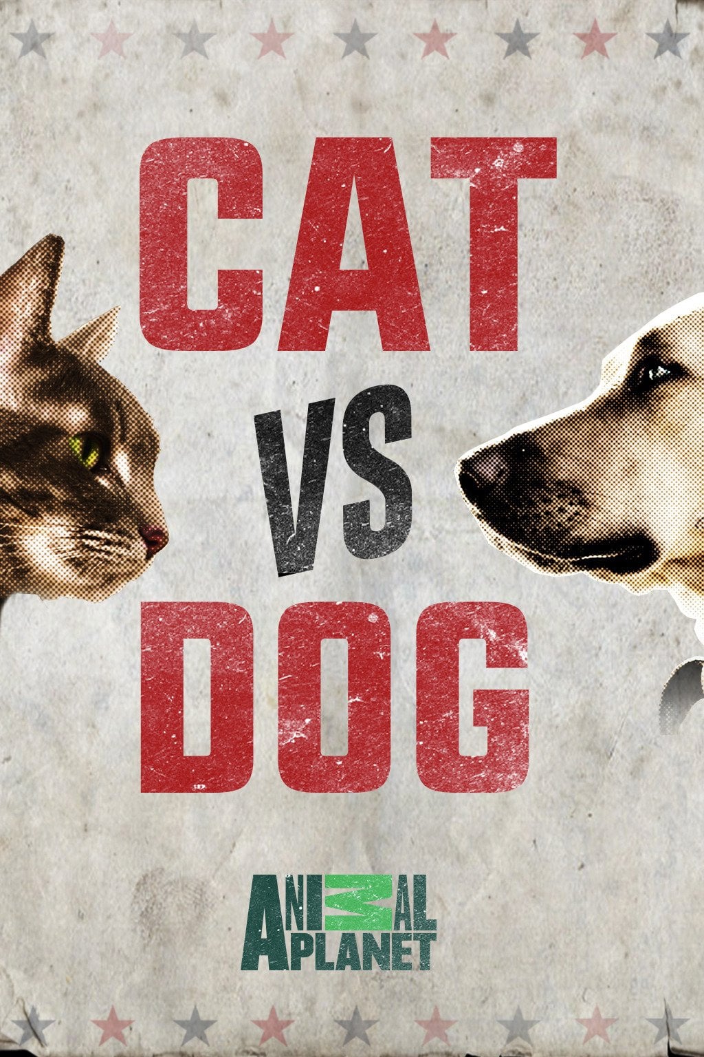 Caratula de Cat vs. Dog 