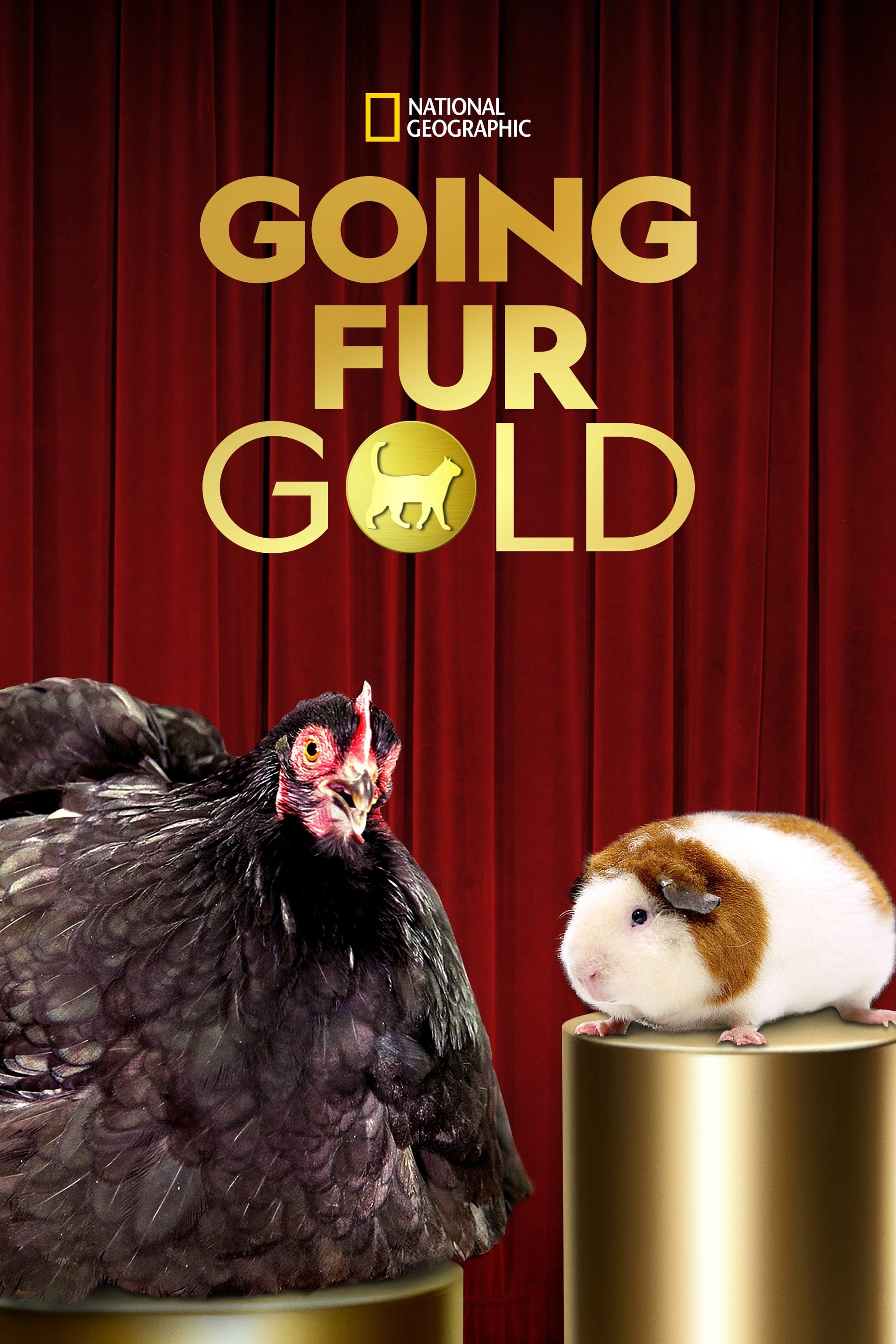 Caratula de Going Fur Gold