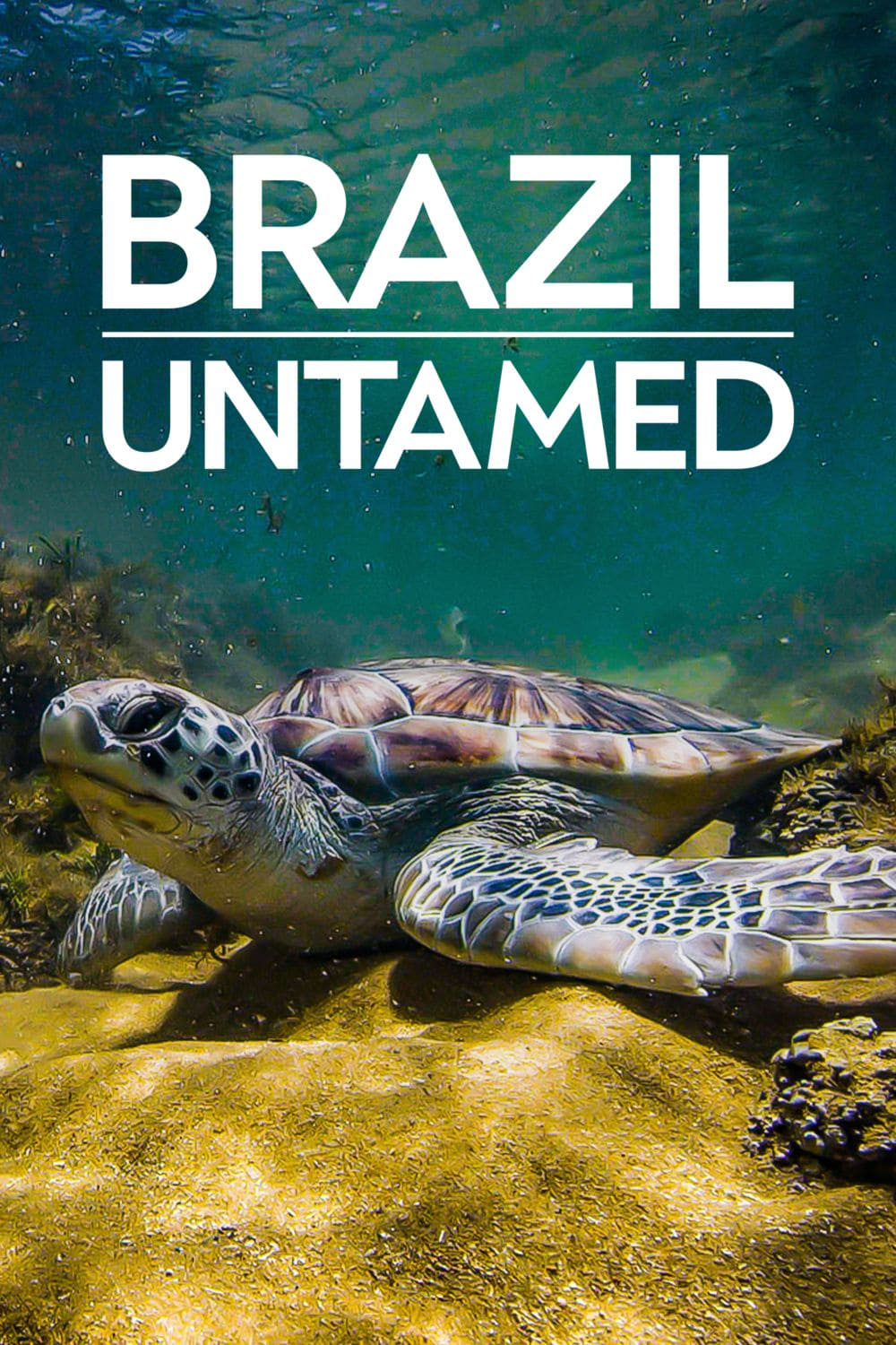 Caratula de Brasil Selvagem