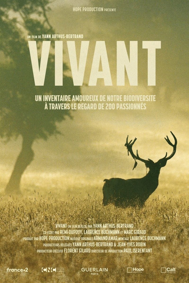 Caratula de Vivant 