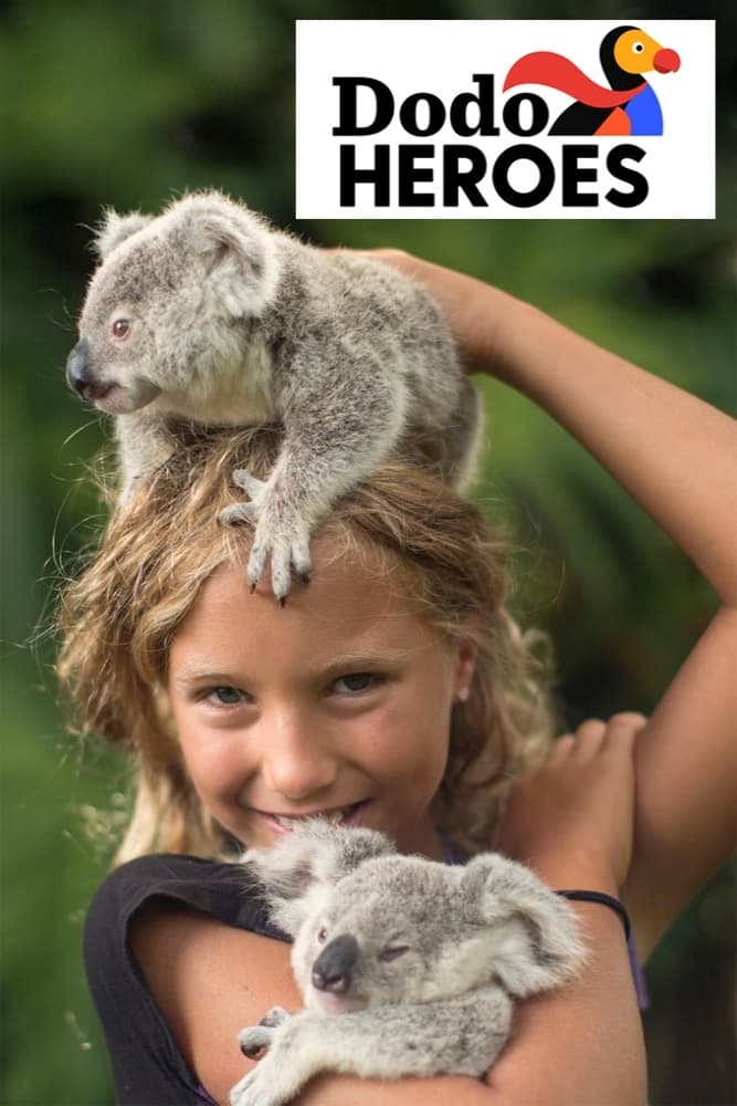 Caratula de Dodo Heroes 