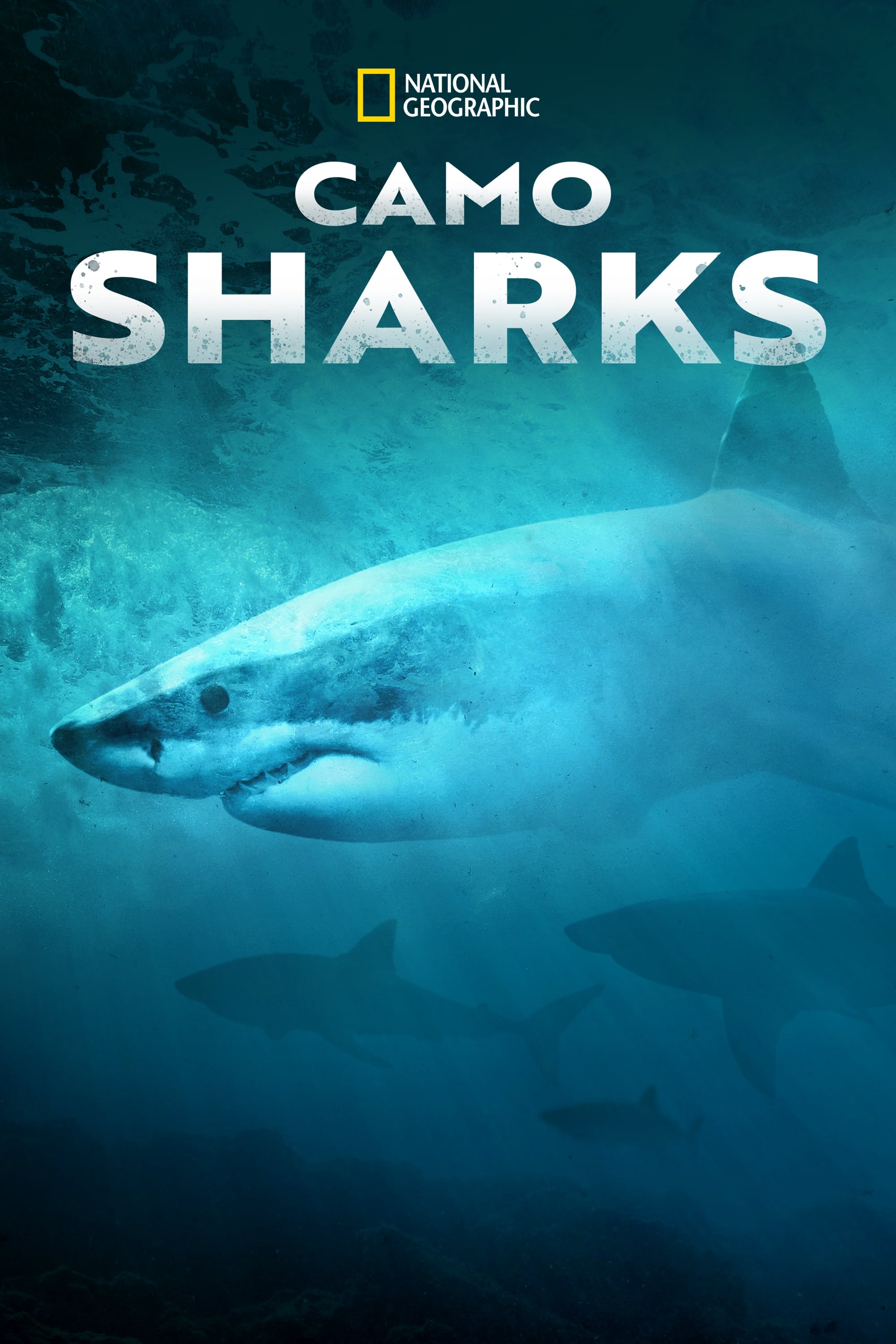 Caratula de Camo Sharks 
