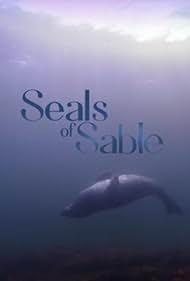 Seals of Sable
