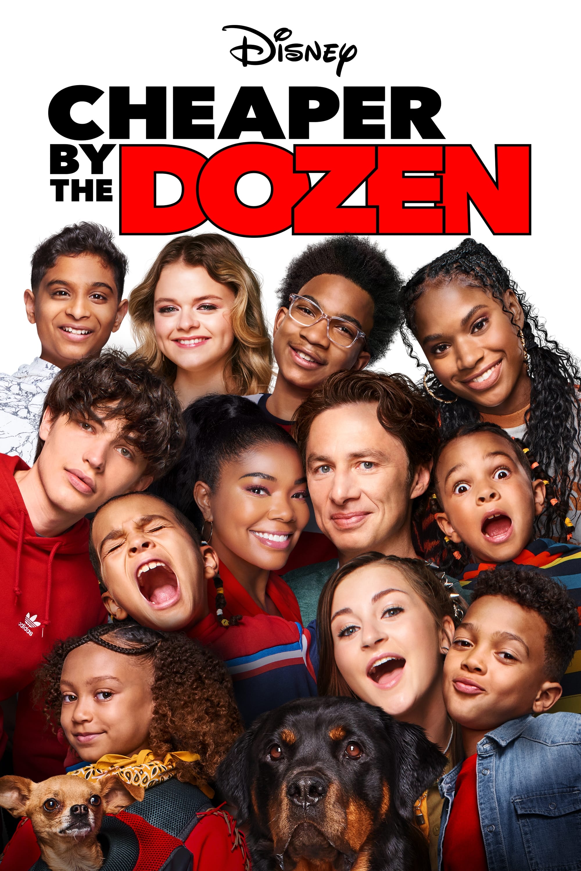 Caratula de Cheaper by the Dozen 