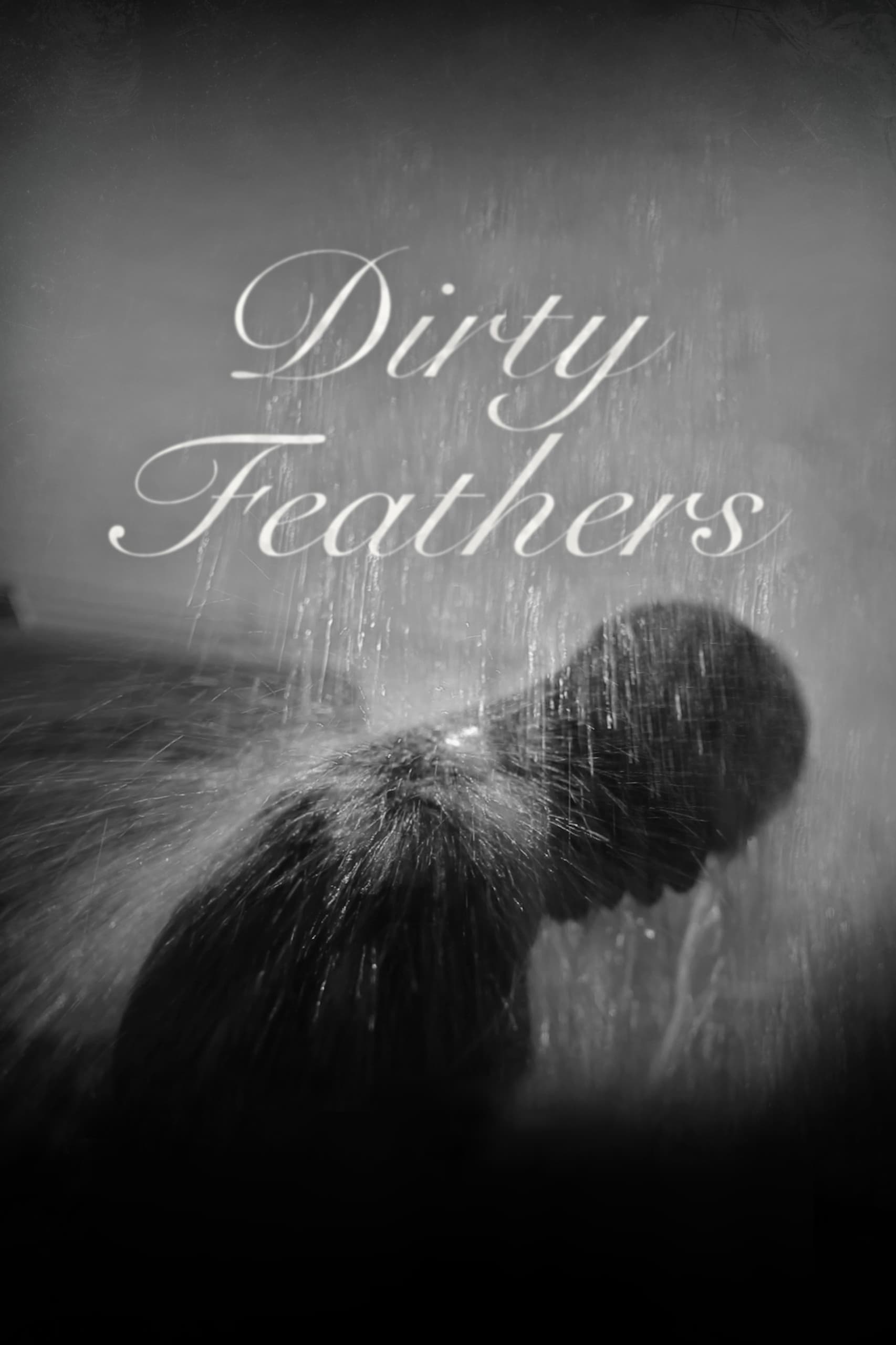 Caratula de Dirty Feathers 