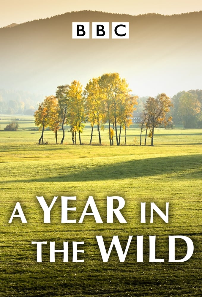 Caratula de A Year in the Wild 