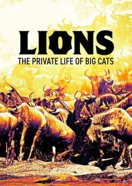 Caratula de Lions – The Private Life of Big Cats 