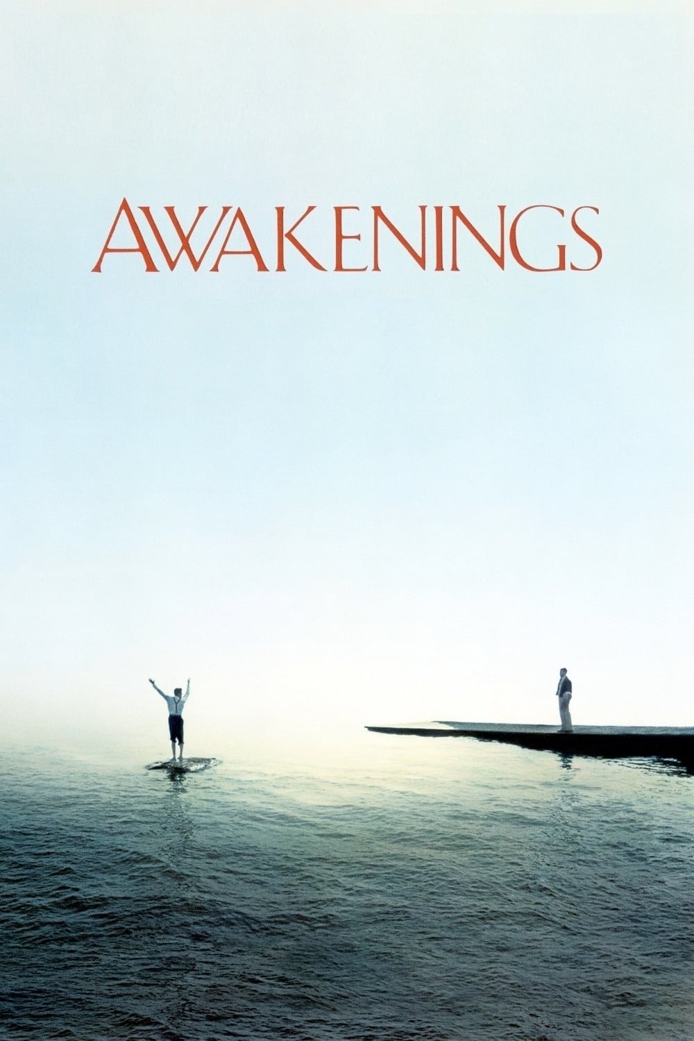 Caratula de Awakenings 