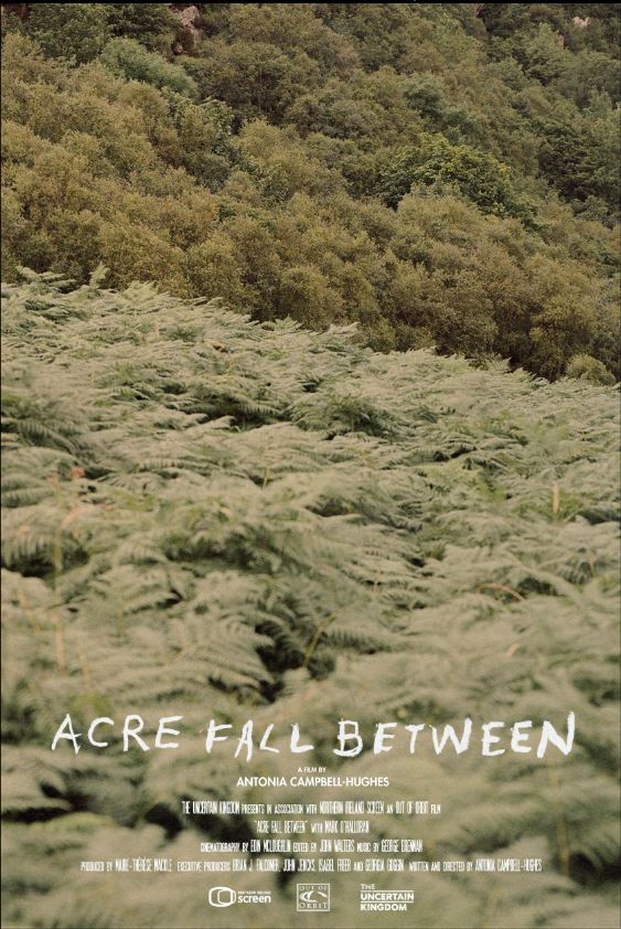Caratula de Acre Fall Between 