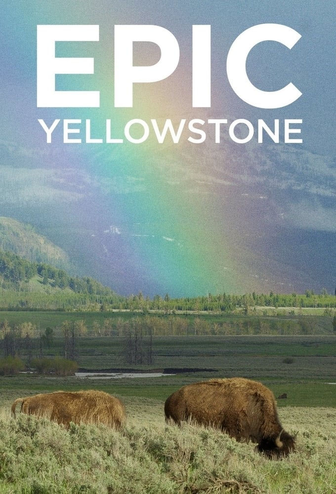 Caratula de Epic Yellowstone 