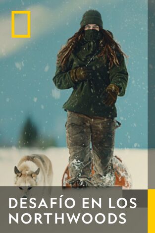 Caratula de Northwoods Survival 