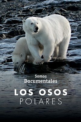 Caratula de Polar Bear Family 