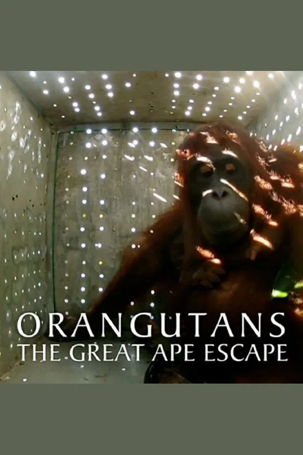 Caratula de Orangutans: The Great Ape Escape 