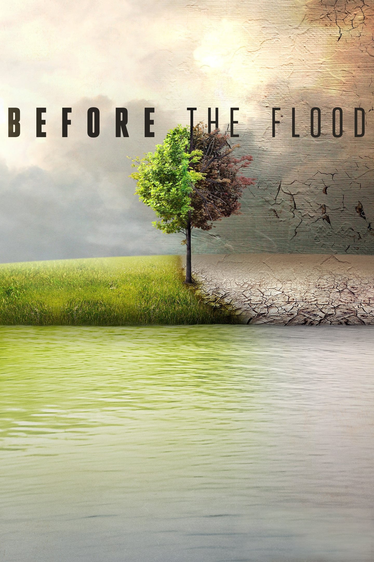 Caratula de Before the Flood 