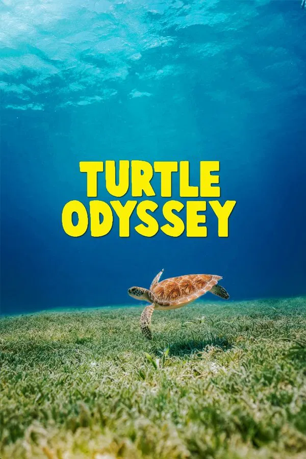 Turtle Odyssey 4D