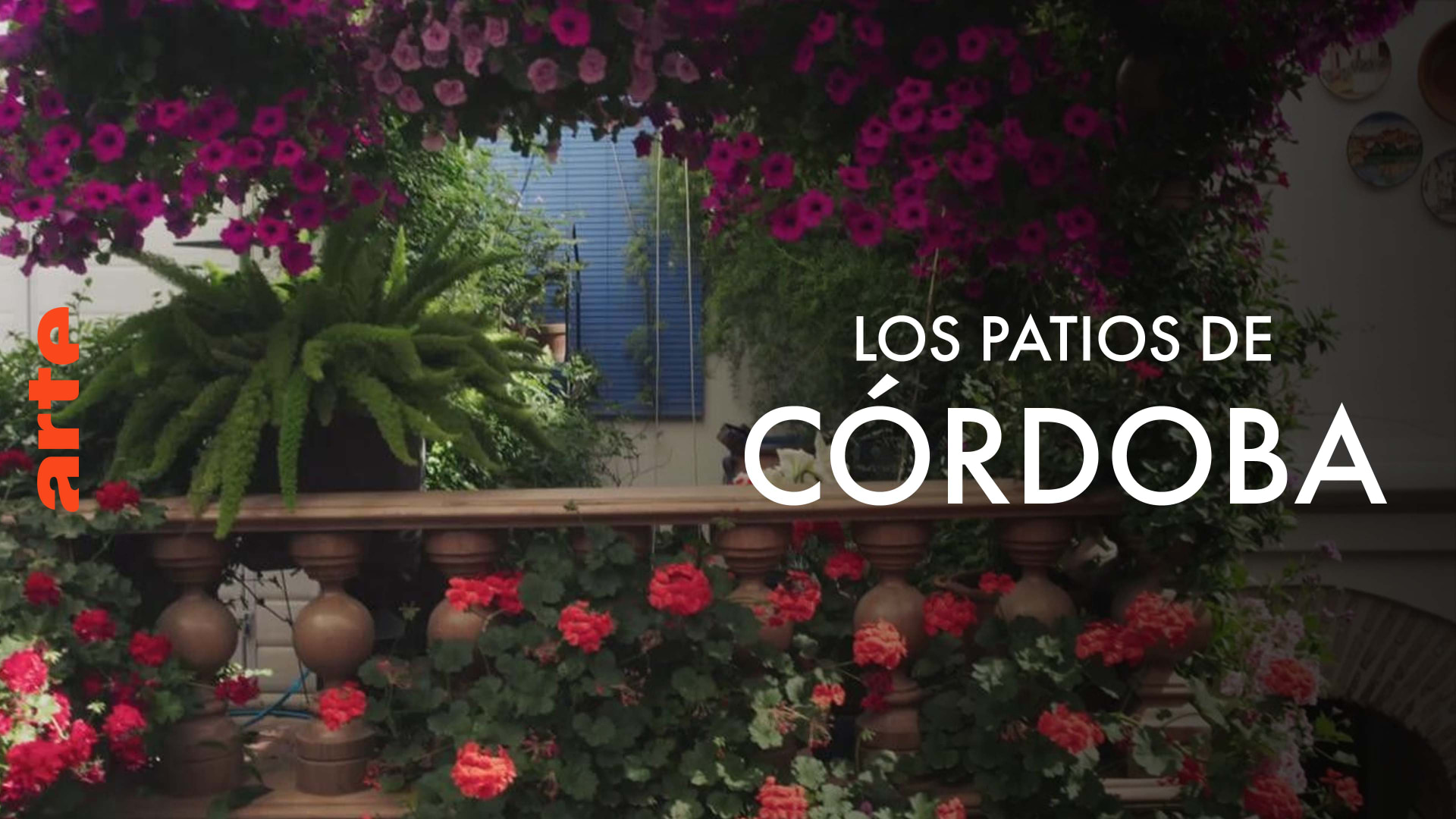 Caratula de 360° Reportage – Cordoba, die Stadt der Patios