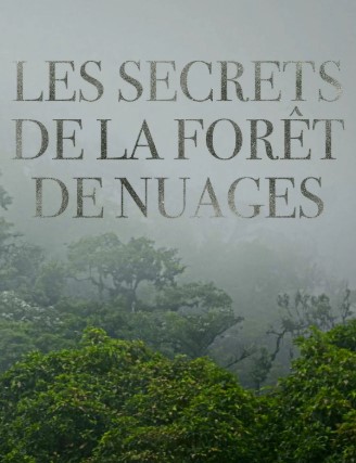 Les secrets de la forêt de nuages