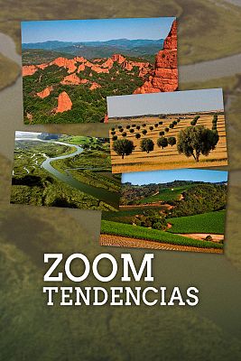 Zoom Tendencias